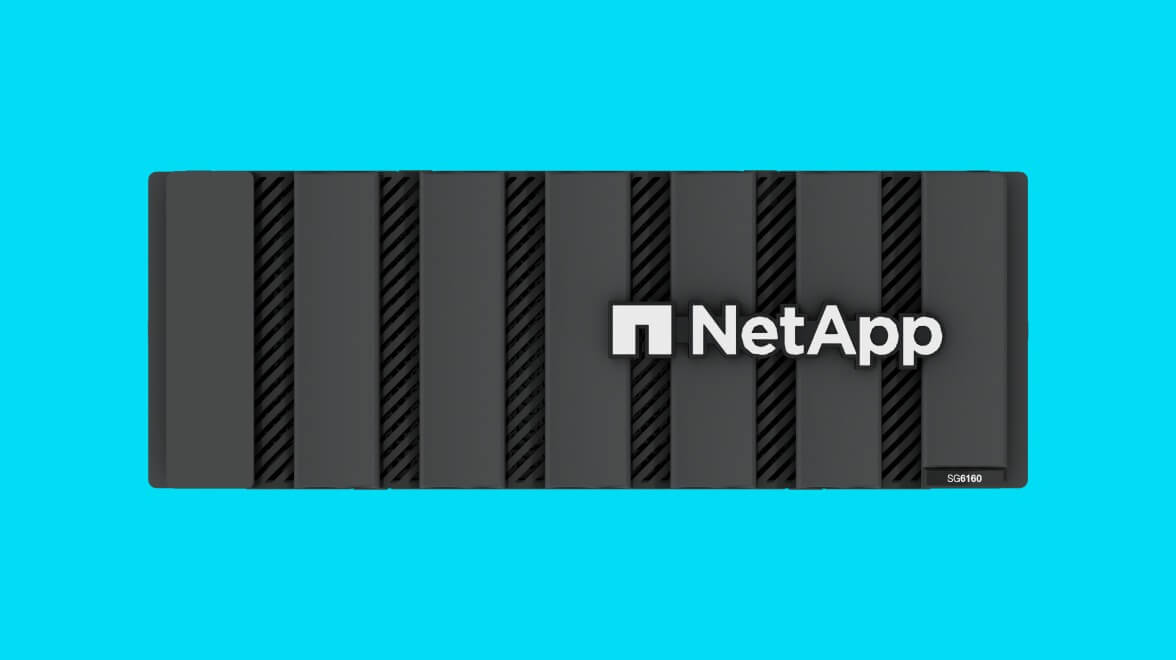 NetApp Gerät