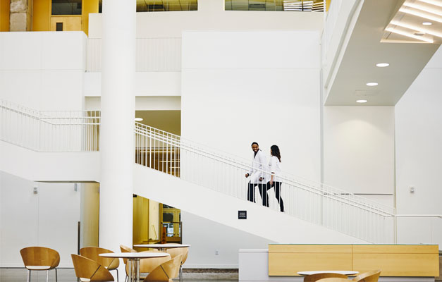 Zwei Personen, die eine Treppe hinaufgehen