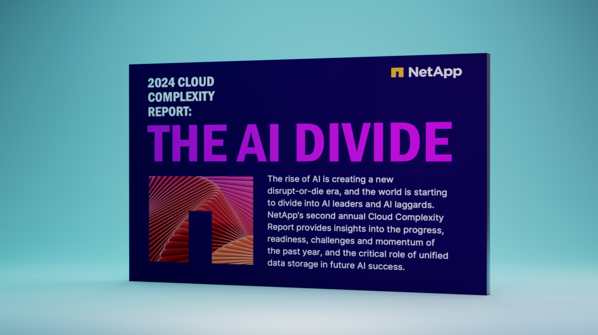 COMPLEJIDAD DE LA NUBE 2024, AI DIVIDE 2024
