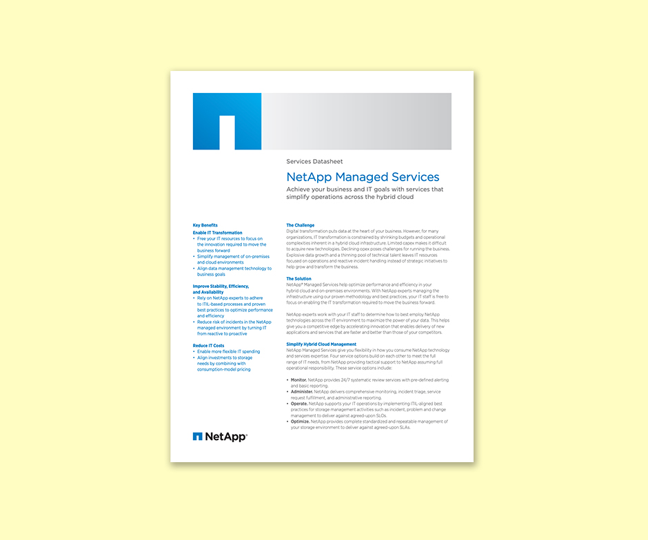 Artículo de NetApp con el título Servicios gestionados de NetApp