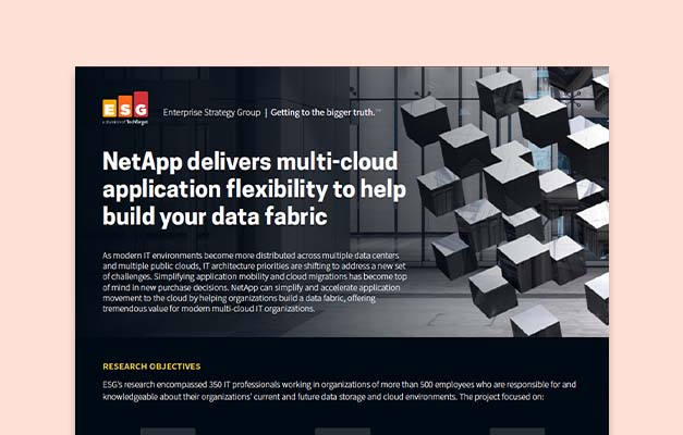 PDF NetApp propose une expérience multicloud