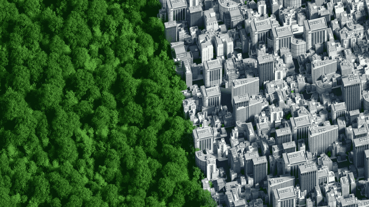 forêt et bâtiment moderne côte à côte