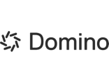 Logo Domino Data Labs