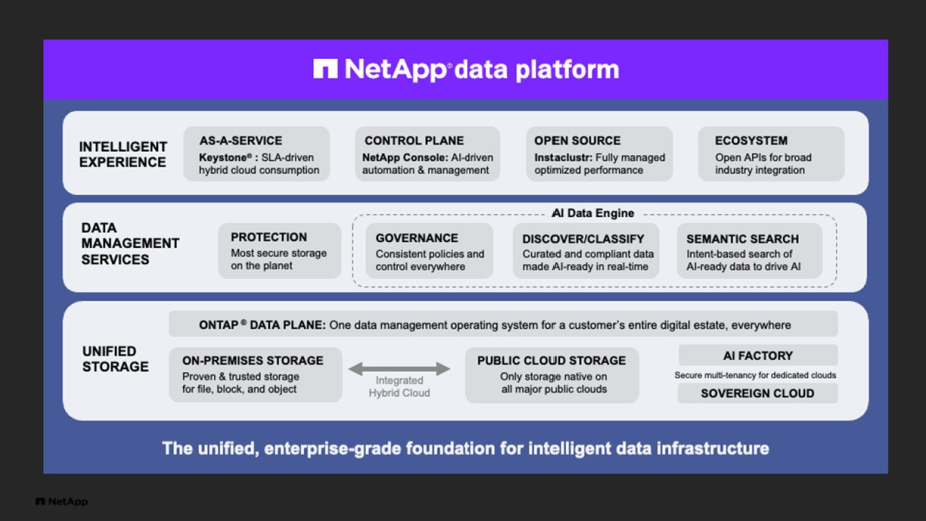 NetApp Piattaforma dati