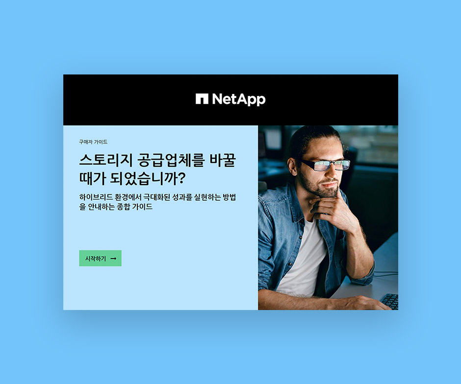 NetApp PDF