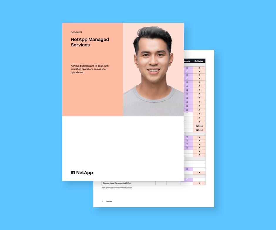 Managed Services Datasheet Image