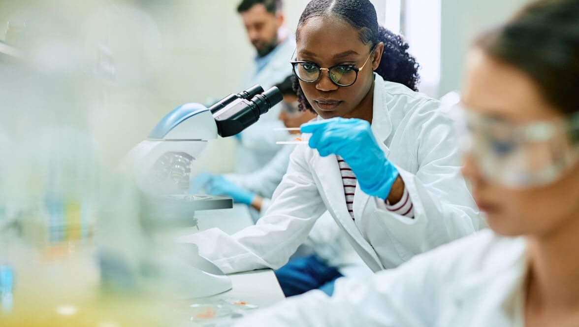 group of professionals working and analyzing