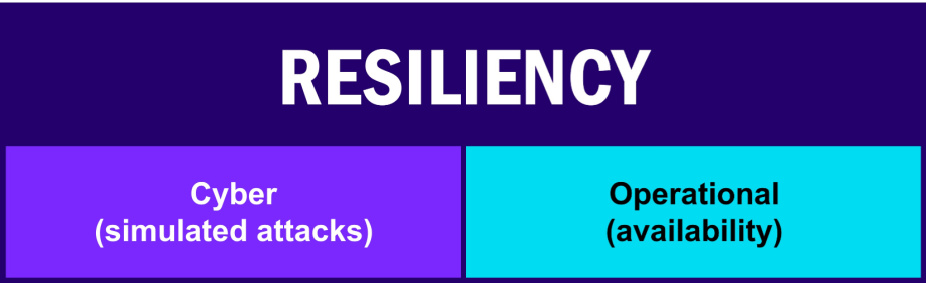 Resiliency Image