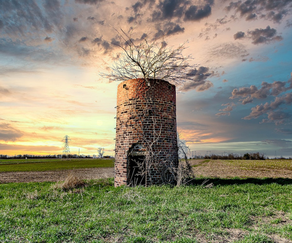 dry tree emerging from abandon cylindrical shape building