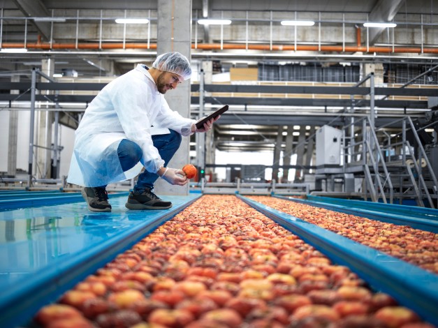 fruit production line