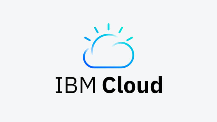 IBM 标识