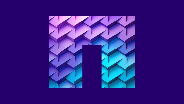 NetApp 拱形标识